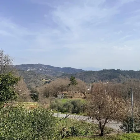Pina First Floor 6 Guests Near Cinque Terre In Nature Balcony Valley View Shared Pool Hiking Trails * Camedone